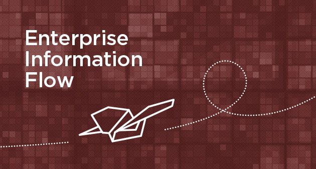 What's What: Introducing Enterprise Information Flow